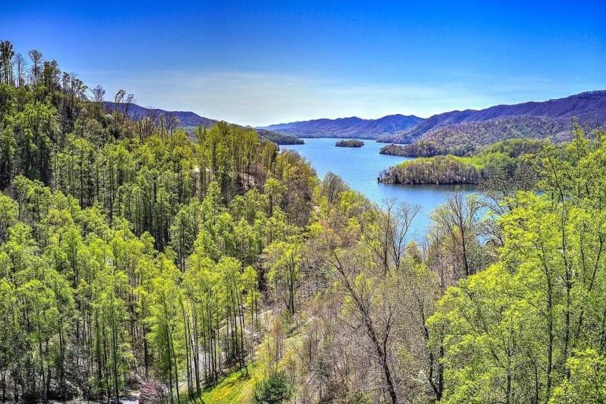 Iron Mountain Lodge - Beautiful Cabin With Forest & Mountain Views! Butler Extérieur photo